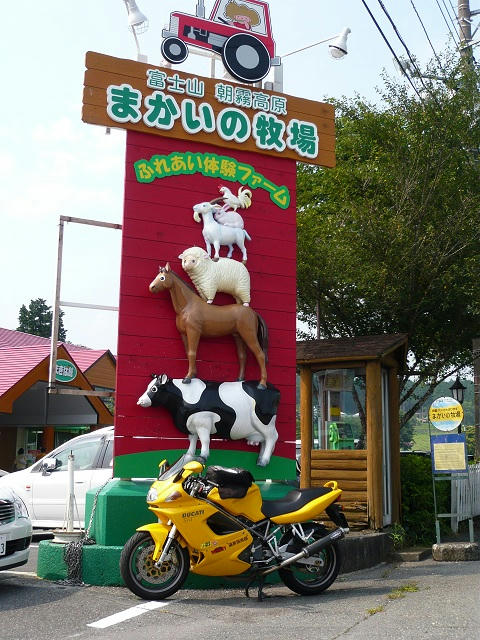 90b3dcb9.jpg
