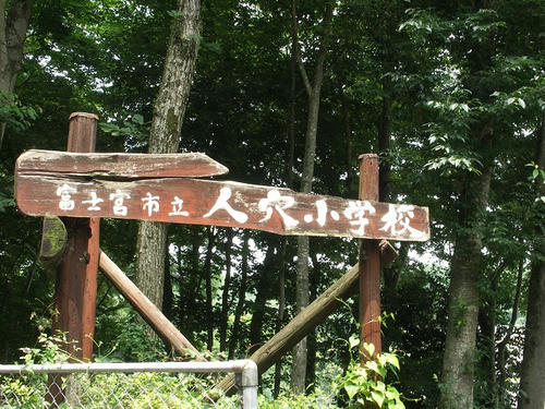 PICT5330.jpg