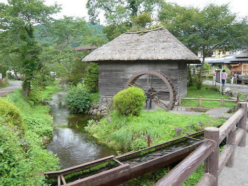 P1020694.jpg