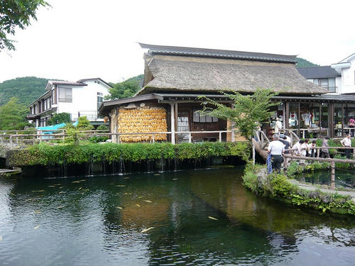 P1020701.jpg