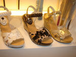 DSC01512.JPG