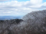 P1000441.JPG