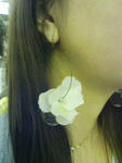 20080223185547.jpg