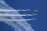 20091103_b4.jpg
