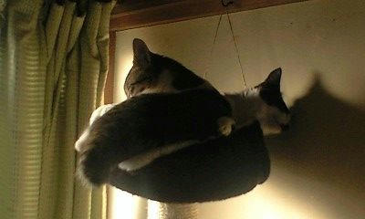 090408_5.jpg