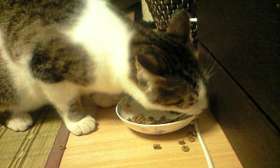 073098a8.jpeg