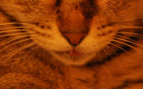 bb_DSC_0150.jpg