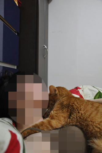 1617507a.jpeg