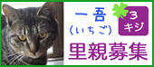 3kiji-3.gif