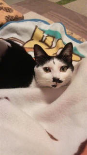 2012012822120001.jpg