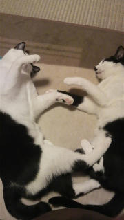 2012052004300000.jpg