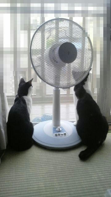 2012052616490000.jpg