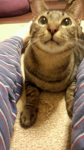2012_06_13_22_58_37.jpg