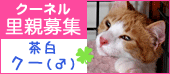 ku-neru170.gif