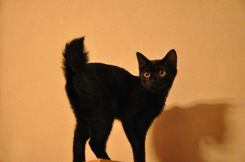 c_DSC_5168.jpg