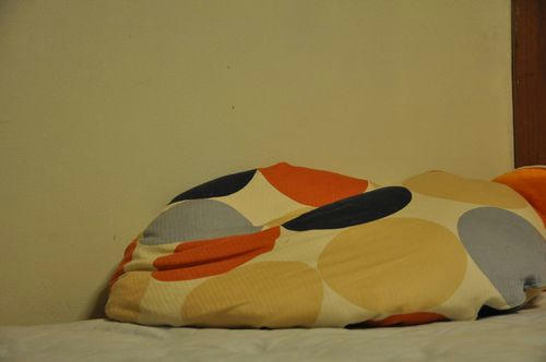 c_DSC_5365.jpg