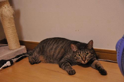 c_DSC_5423.jpg