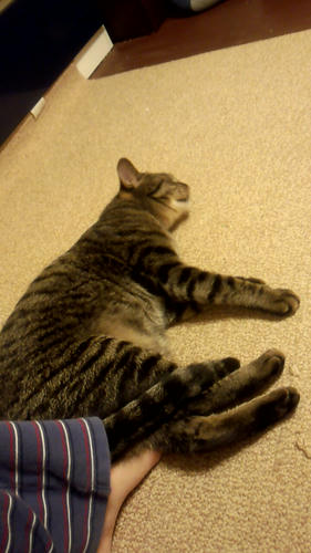 2012_06_13_22_56_14.jpg