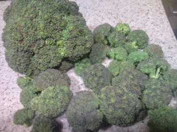 broccoli.jpg
