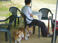 kishigawa2010-1.jpg