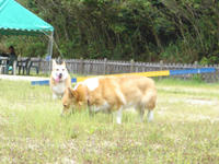 kishigawa2010-3.jpg