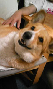 20100519-1.jpg