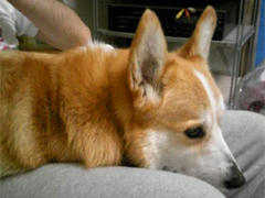 20100519-2.jpg