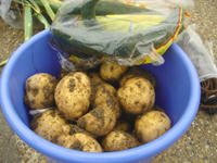 croquette2.jpg
