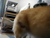20100701p1.jpg
