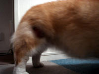 20100701p2.jpg