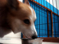 20100701p3.jpg