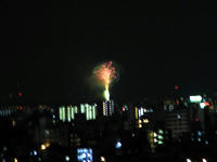 PL2010.jpg