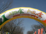 CIMG0817.JPG
