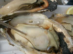 CIMG0807.JPG
