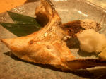 CIMG0879.JPG
