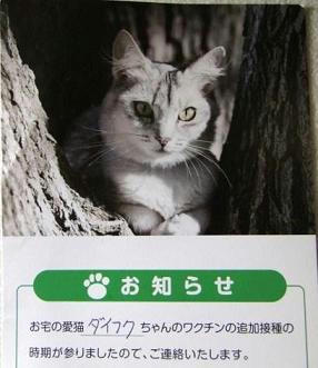 予防接種のお知らせ