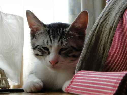 かんぺいちゃん?