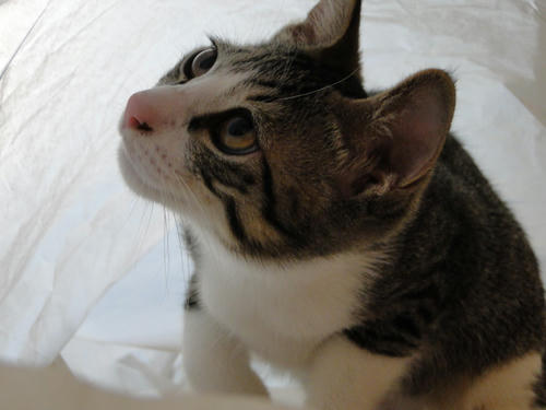 こうですか??