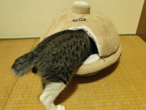 チェック中
