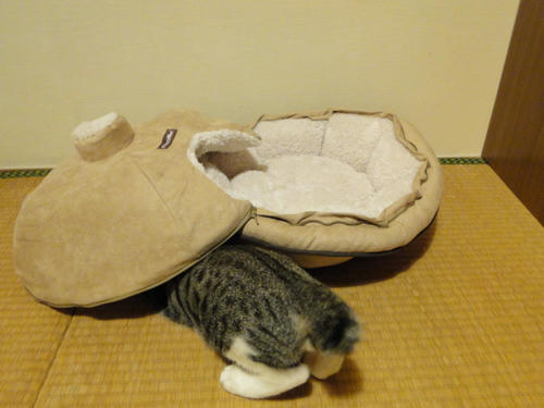 興味津津