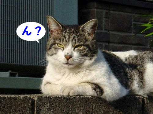 ん?