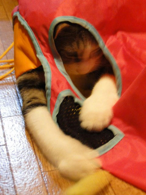 うにゃにゃにゃにゃ~~