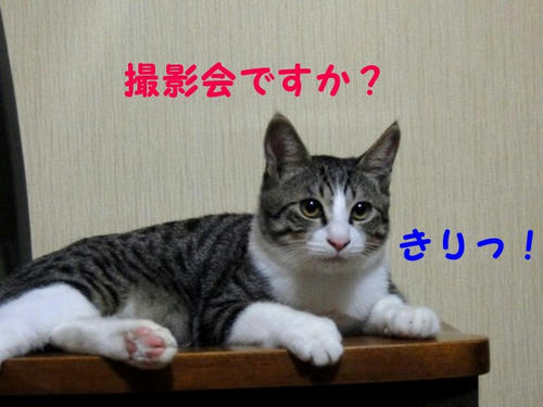 正面