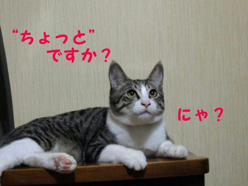 上目