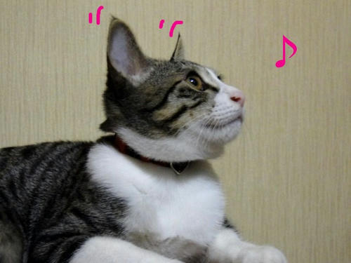 左