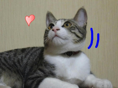 右