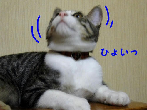 右上