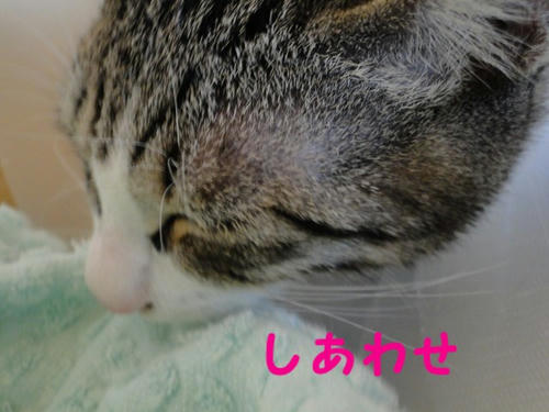 ちゅっちゅ