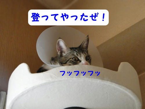 登頂成功