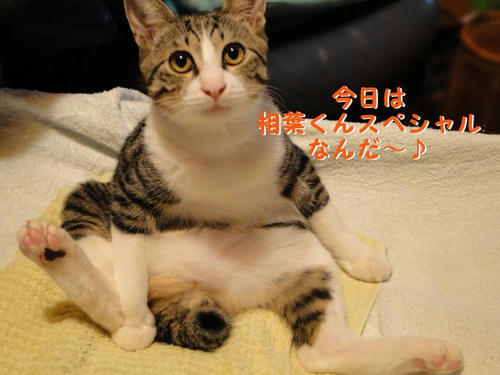 TV観賞中